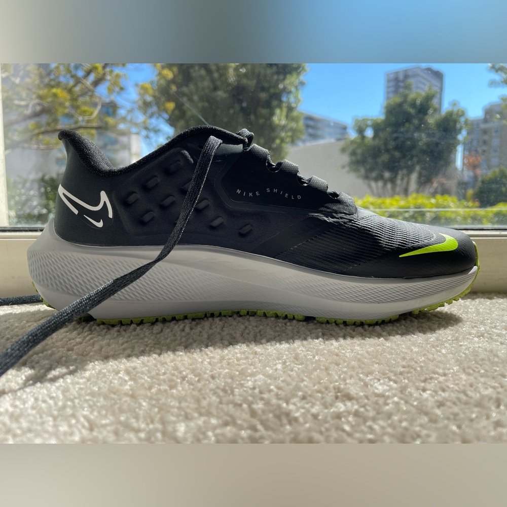 Nike Pegasus 39 Shield